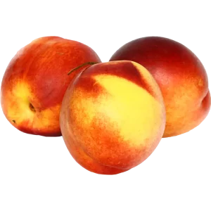 Nectarine