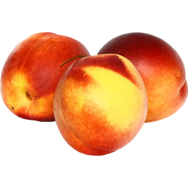 Nectarine